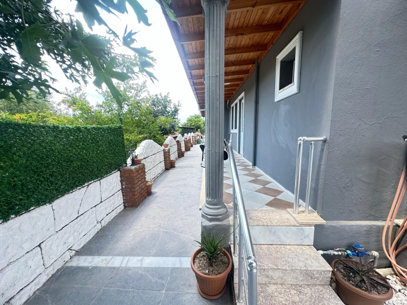Vills Minnoş